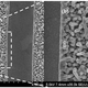 Illustration for article titled How a Plant Virus Can Make Lithium Batteries Last 10x Longer